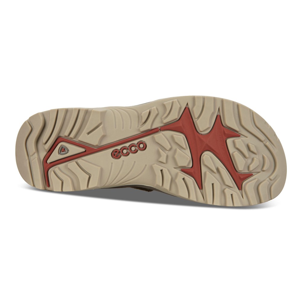 Sandalias Hombre - ECCO Offroad Flat - Marrom - TYQ159783